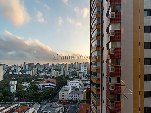 Apartamento 4 Quartos com 2 Suítes e 165m² - Cambuci - Apartamento em Cambuci, São Paulo - Foto 3
