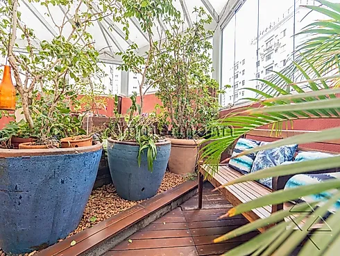 Casa 3 Quartos com 1 Suíte e 227m² - Moema - Casa em Moema, São Paulo - Foto 3