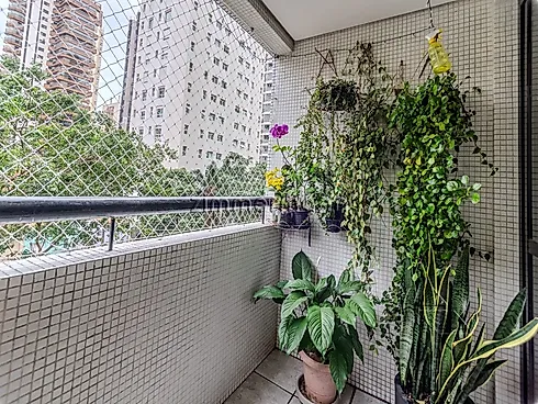 Apartamento 3 Quartos com 1 Suíte e 79m² - Aclimacao - Apartamento em Aclimacao, São Paulo - Foto 2