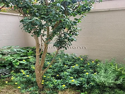 Apartamento 3 Quartos com 1 Suíte e 103m² - Agua Branca - Apartamento em Agua Branca, São Paulo - Foto 3
