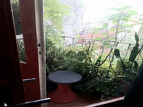 Thumbnail 14