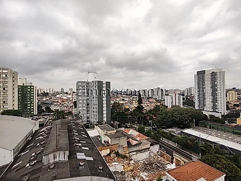 Apartamento 3 Quartos com 1 Suíte e 128m² - Chácara Monte Alegre - Apartamento em Chácara Monte Alegre, São Paulo - Foto 3