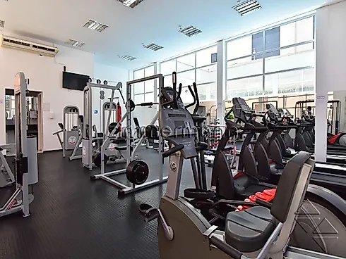Thumbnail 20