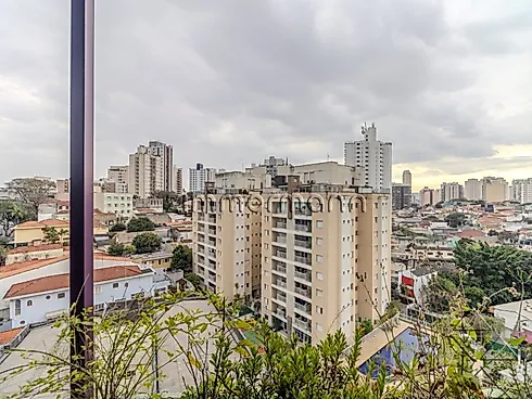 Apartamento 2 Quartos com 1 Suíte e 66m² - Vila Ipojuca - Apartamento em Vila Ipojuca, São Paulo - Foto 3