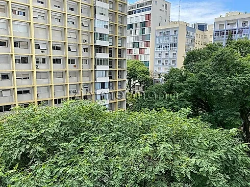 Apartamento 3 Quartos com 1 Suíte e 252m² - Higienopolis - Apartamento em Higienopolis, Sao Paulo - Foto 5