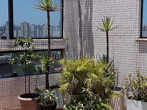 Moema, São Paulo