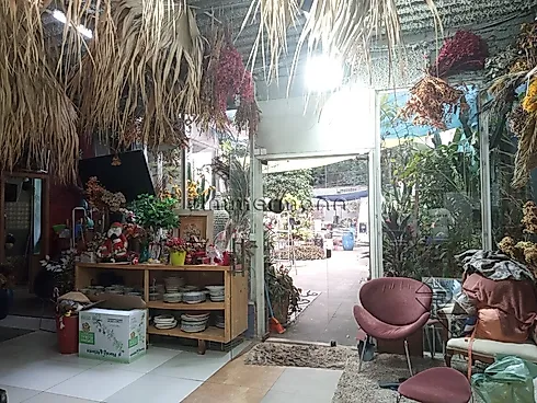 Terreno 267m² - Pinheiros - Terreno em Pinheiros, São Paulo - Foto 4