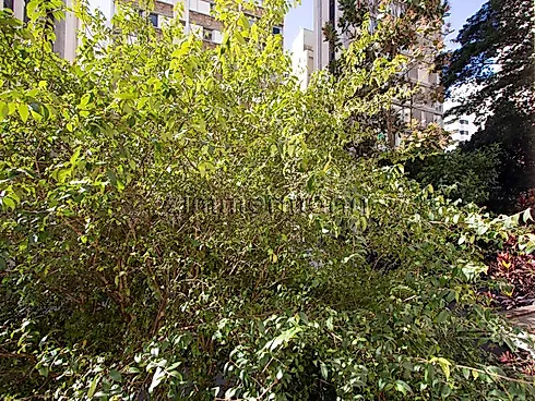 Apartamento 1 Quarto com 78m² - Santa Cecilia - Apartamento em Santa Cecilia, São Paulo - Foto 4