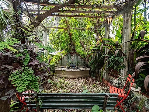 Casa 3 Quartos com 1 Suíte e 400m² - Pacaembu - Casa em Pacaembu, São Paulo - Foto 3