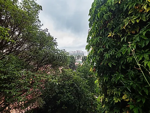 Casa 4 Quartos com 1 Suíte e 275m² - Vila Madalena - Casa em Vila Madalena, São Paulo - Foto 3