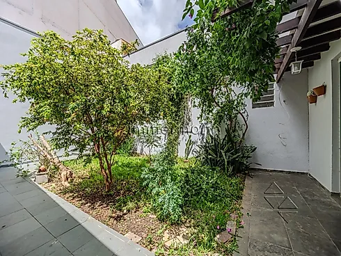 Casa 3 Quartos com 1 Suíte e 195m² - Paraiso - Casa em Paraiso, São Paulo - Foto 5