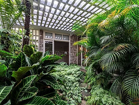 Casa 3 Quartos com 253m² - Butantã - Casa em Butantã, São Paulo - Foto 5