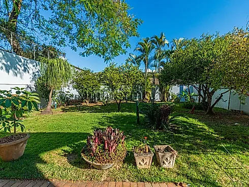 Casa 3 Quartos com 1 Suíte e 280m² - Alto da Lapa - Casa em Alto da Lapa, São Paulo - Foto 2