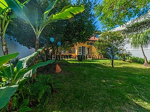 Casa 3 Quartos com 1 Suíte e 280m² - Alto da Lapa - Casa em Alto da Lapa, São Paulo - Foto 3