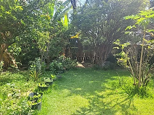 Casa 4 Quartos com 3 Suítes e 980m² - Campo Belo - Casa em Campo Belo, São Paulo - Foto 2