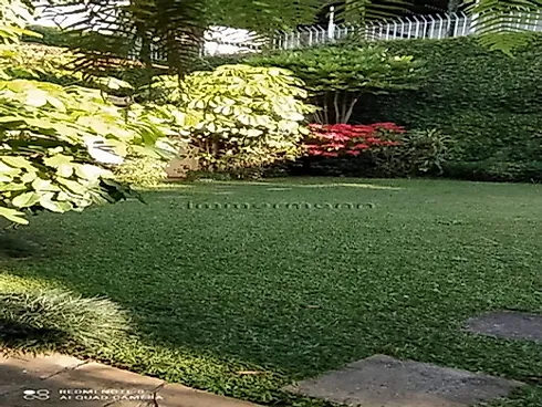 Casa 5 Quartos com 5 Suítes e 600m² - Jardim Guedala - Casa em Jardim Guedala, São Paulo - Foto 2