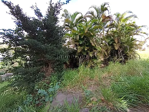 Terreno 1000m² - Campo Belo - Terreno em Campo Belo, São Paulo - Foto 3