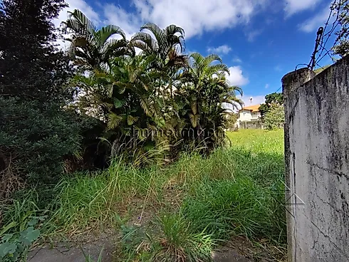 Terreno 1000m² - Campo Belo - Terreno em Campo Belo, São Paulo - Foto 4