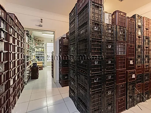 Casa 2 Quartos com 120m² - Pinheiros - Casa em Pinheiros, São Paulo - Foto 4