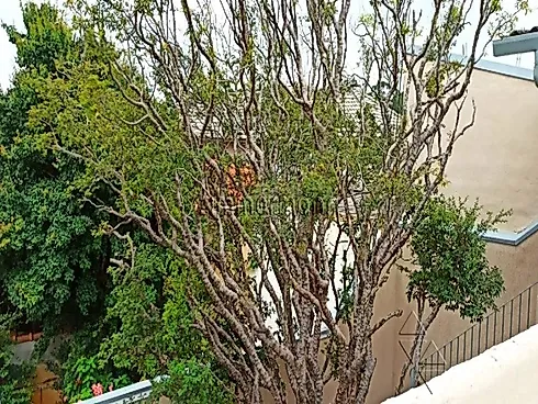 Casa 2 Quartos com 185m² - Alto da Lapa - Casa em Alto da Lapa, São Paulo - Foto 5