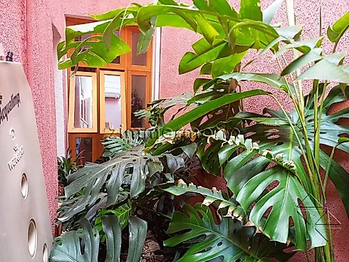 Pinheiros, São Paulo