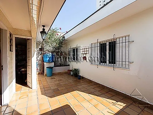 Thumbnail 19