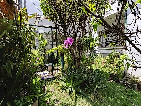 Casa 3 Quartos com 1 Suíte e 210m² - Aclimacao - Casa em Aclimacao, São Paulo - Foto 2