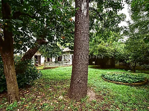 Casa 3 Quartos com 1 Suíte e 300m² - Alto de Pinheiros - Casa em Alto de Pinheiros, São Paulo - Foto 2