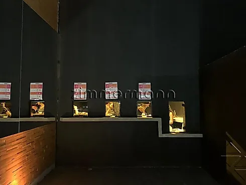 Escritório/Sala Comercial - 544m², Barra Funda - Escritório/sala em Barra Funda, São Paulo - Foto 5