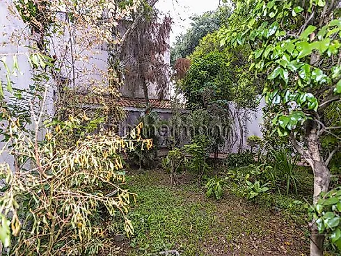 Casa 4 Quartos com 2 Suítes e 279m² - Pacaembu - Casa em Pacaembu, São Paulo - Foto 3
