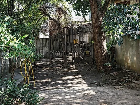 Casa 4 Quartos com 1 Suíte e 300m² - Perdizes - Casa em Perdizes, São Paulo - Foto 2